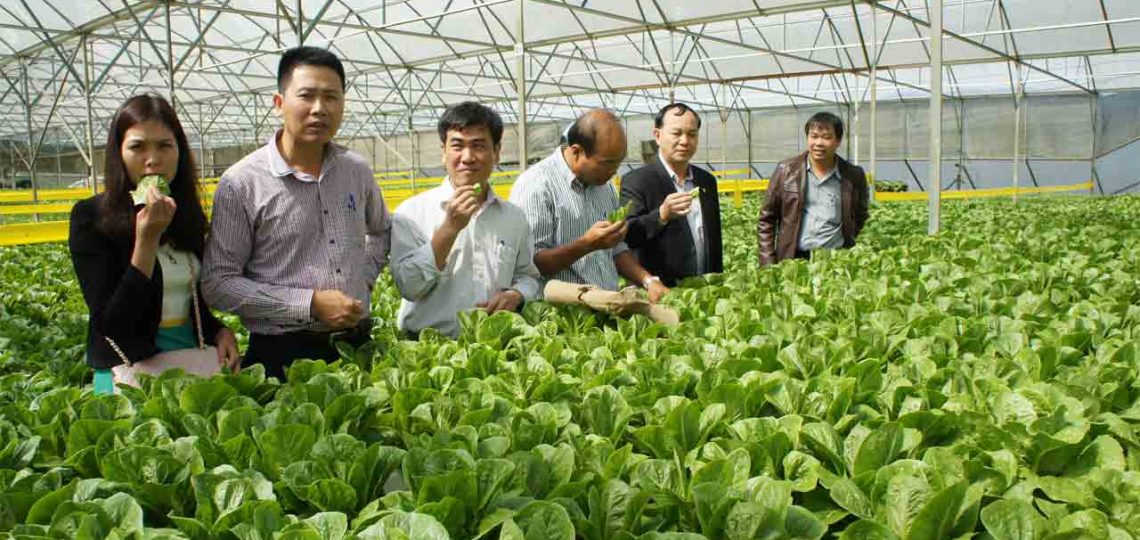 Vì sao Việt Nam thiếu kỹ sư nông nghiệp ?